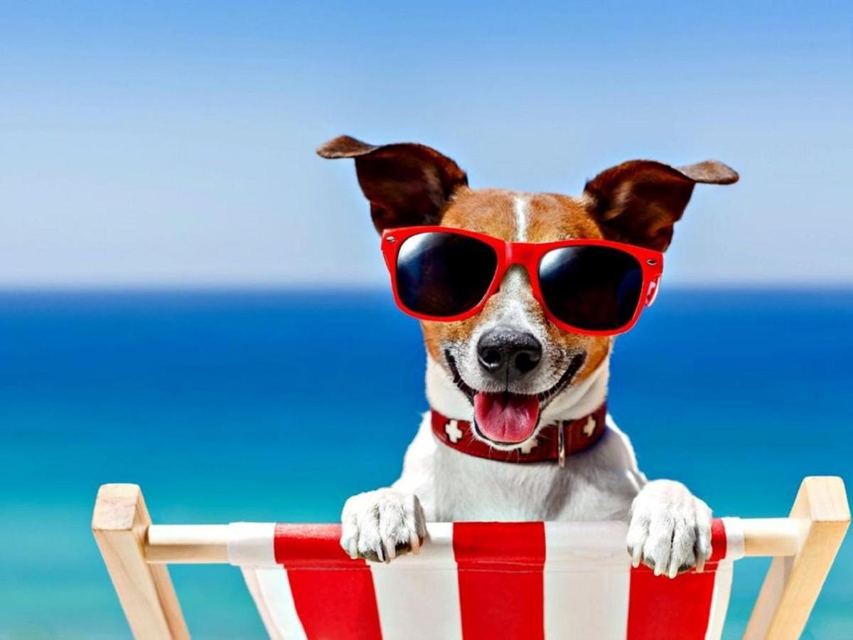 Relaxing Chalet On Popular California Sands Short Stroll To Beach, Nr Norfolk Broads & Great Yarmouth Scratby Luaran gambar